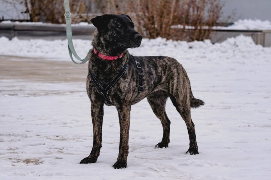 Patrokle hat in seinem Leben noch nicht viel kennengelernt. Wer zeigt ihm die Welt?