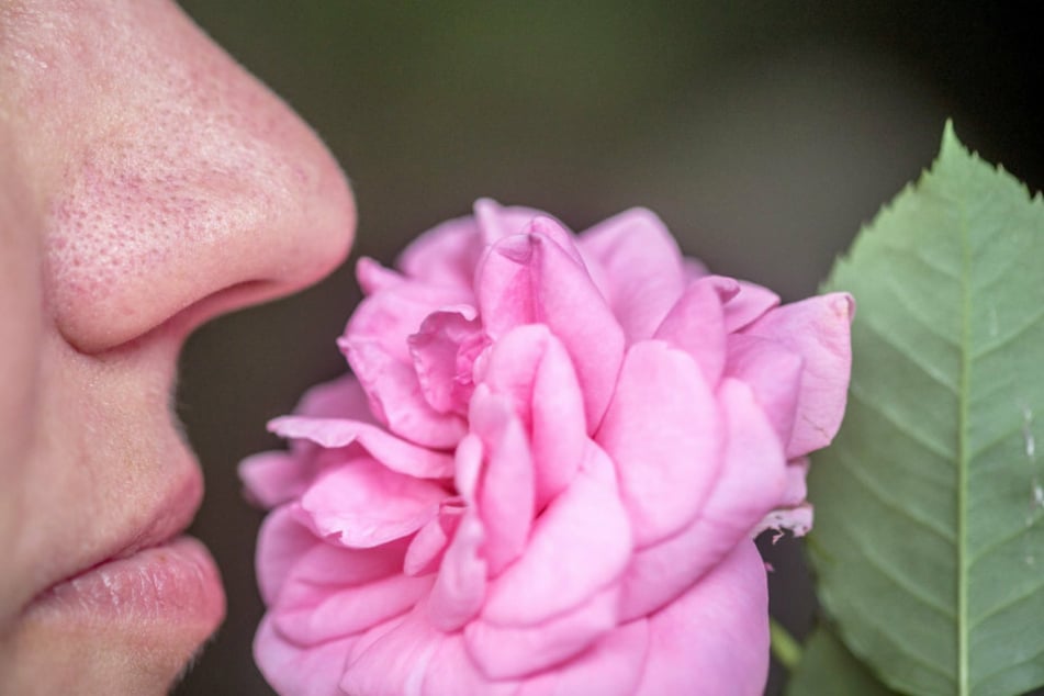 A woman smells a flower.