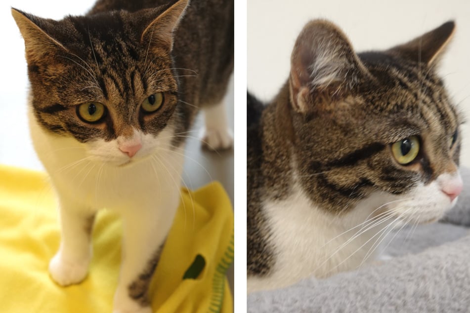 Findet die Kleine ihr Happy End?