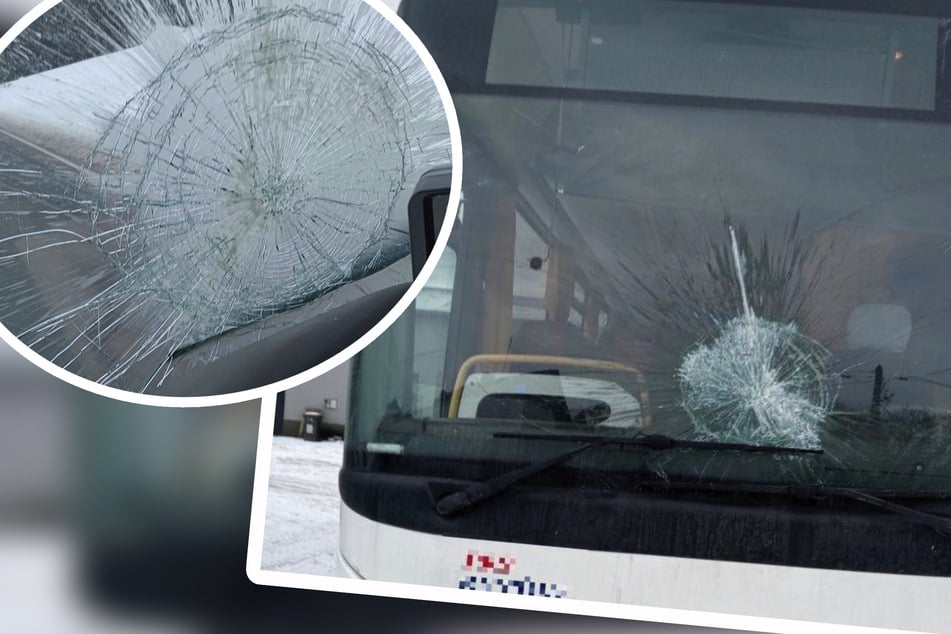 Die Scheiben haben einen echten Volltreffer erlitten.