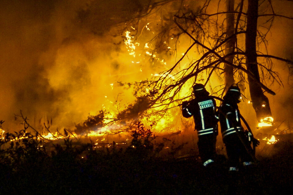 München: Bayern in Flammen: Mehrere Tausend Quadratmeter Wald und Wiesen brennen