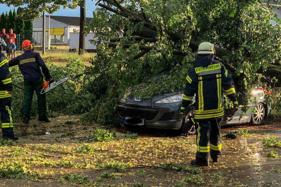 Unwetter hinterlässt Spur der Verwüstung: 52 Feuerwehr-Einsätze in vier Stunden!