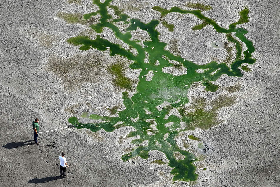Diese Aufnahme einer Drohne zeigt den fast ausgetrockneten Teich in Mettmann.
