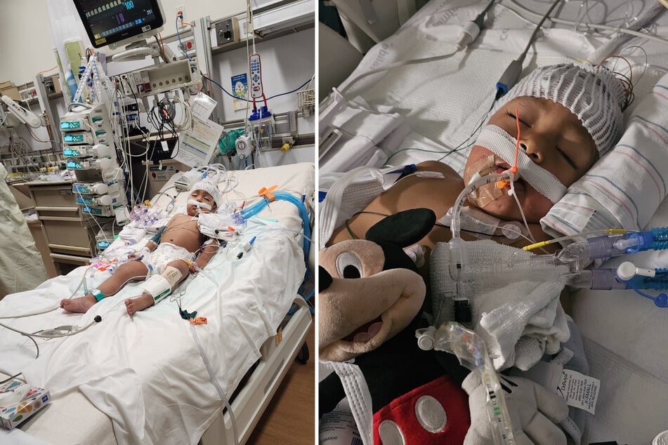 Wie lange Ezequiel (2) unter Wasser war, blieb ungewiss - er trug bei dem Vorfall jedoch keine Hirnschäden davon.