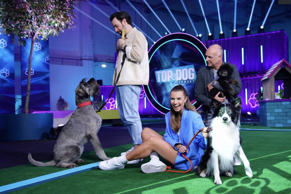 "Top Dog Germany" wird von RTL nach fünf erfolgreichen Staffeln vorerst eingestampft.