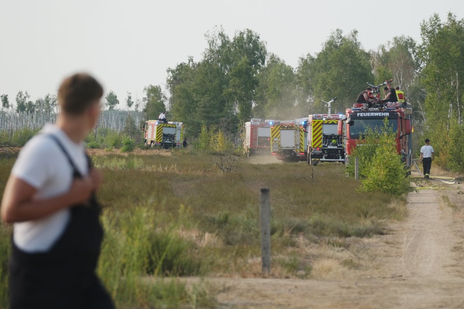 Der Waldbrand in der Gohrischheide könnte sich am Sonntag noch ausbreiten.