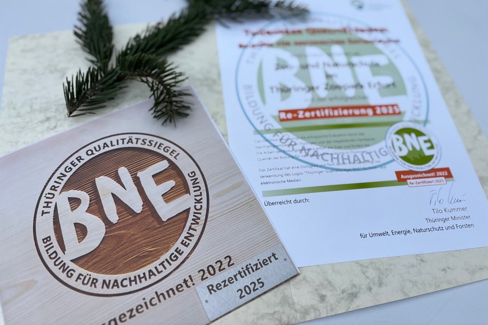 Qualitätssiegel: Thüringer Zoopark erneut als Nachhaltigkeits-Lernort ausgezeichnet