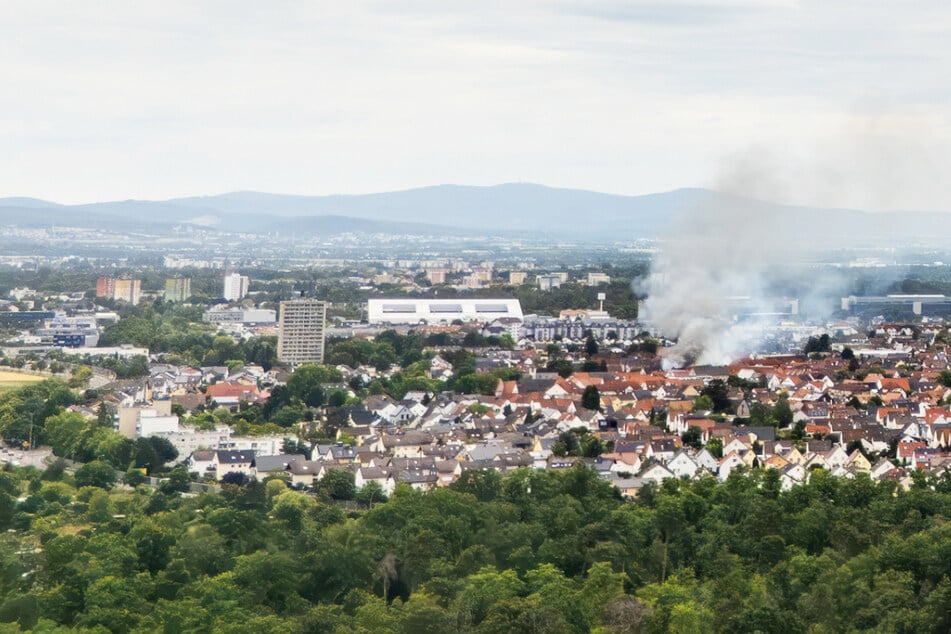 Feuer sorgt für Großeinsatz in Rüsselsheim: Dutzende Tiere evakuiert, Feuerwehrmann verletzt