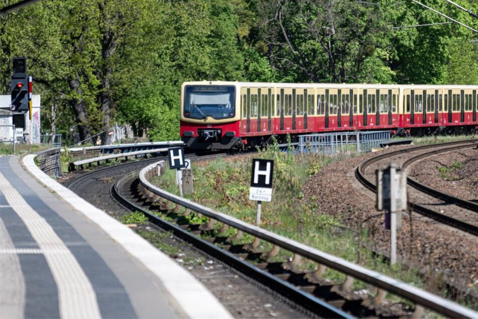 Berlin: Streit eskaliert in S-Bahn: Mann beißt Kontrahenten mehrfach in den Rücken