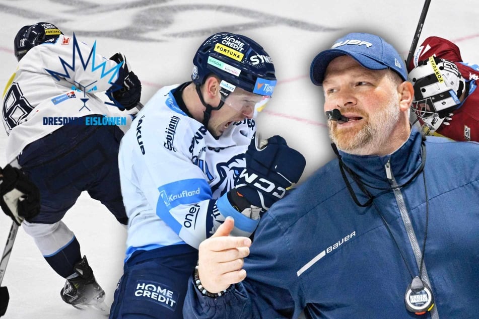 Tschechisches Starensemble ab Freitag in Dresden: Eislöwen-Coach Subr warnt vor Hochkaräter!