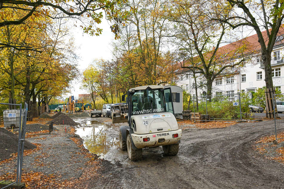 Bis zum Ende des Jahres soll die Neugestaltung des Toeplerparks abgeschlossen sein.