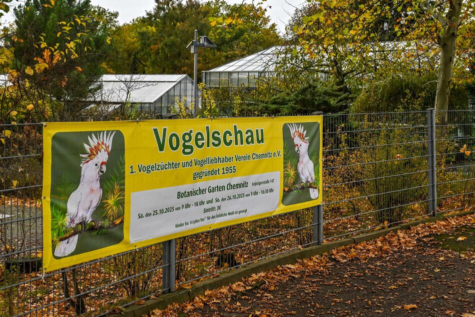 Die Jubiläumsschau findet am Wochenende im Botanischen Garten in der Leipziger Straße statt.