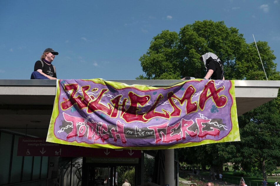 Die Aktivisten bestiegen am Morgen das Dach des Eingangsbereichs, um ein großes Banner aufzuhängen.