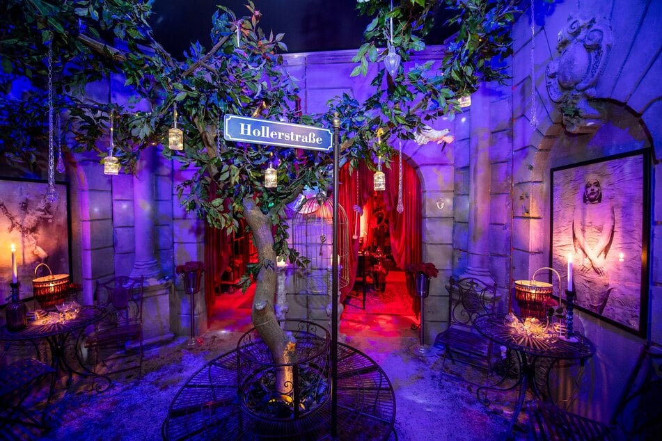 Wer würde hier nicht gerne einziehen? Der "Salon Obscura" sucht einen neuen Mieter.
