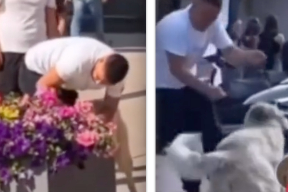 In einer Sequenz des Videos ist zu sehen, wie einer der Männer schlagende Bewegungen in Richtung des Hundes macht.