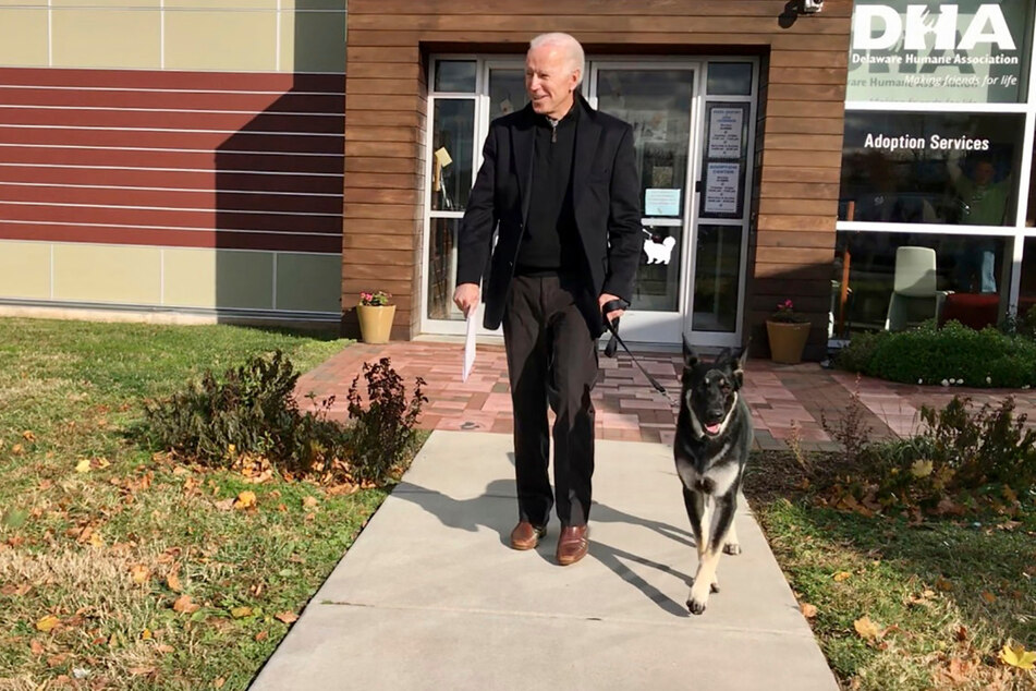 US-Präsident Joe Biden (78) hat seinen Deutschen Schäferhund "Major" 2018 aus einem Tierheim geholt.