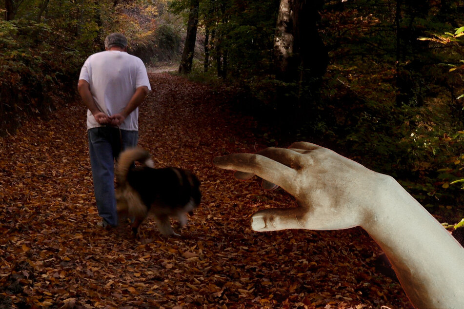 A man and his dog discovered a decomposed human hand during their walk in the woods in Staten Island.