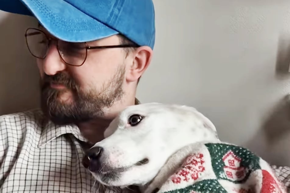 Bruno wurde vor 4 Jahren aus einer spanischen Tötungsstation gerettet und lebt seitdem in einem liebevollen Zuhause.