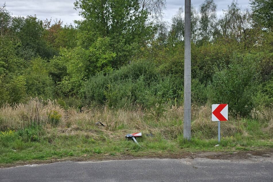Die 43-Jährige verlor die Kontrolle über ihr Fahrzeug, fuhr ein Schild um und landete schließlich im Gebüsch.