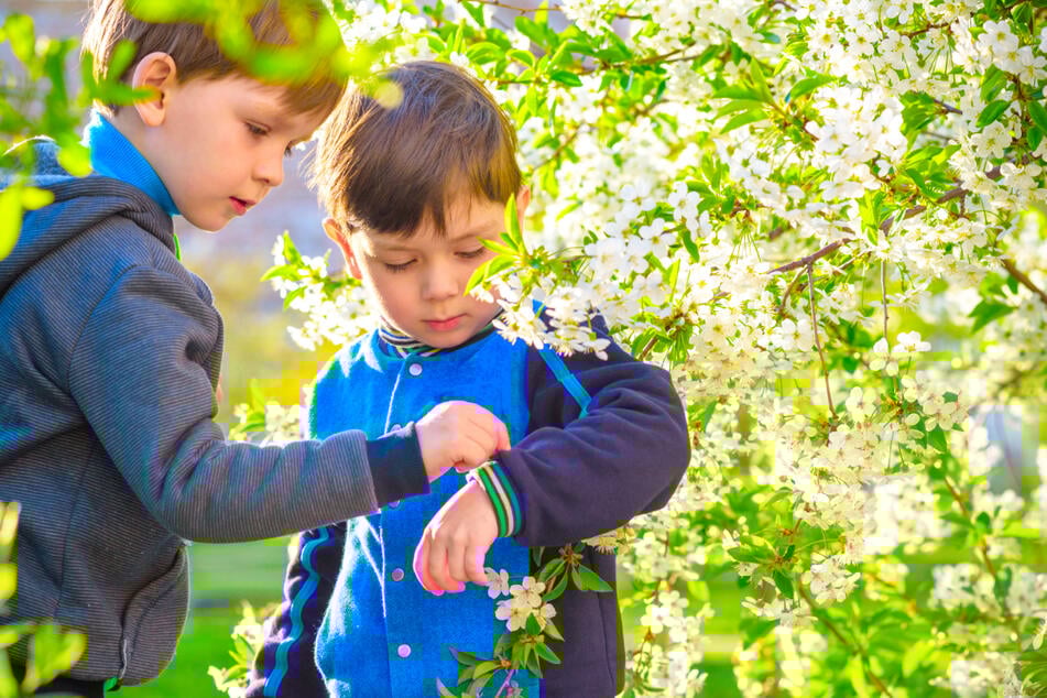 Die Anio 6 Kids Watch bekommt Ihr aktuell bei der Telekom für 49,95 Euro inklusive Smart Connect S Tarif.