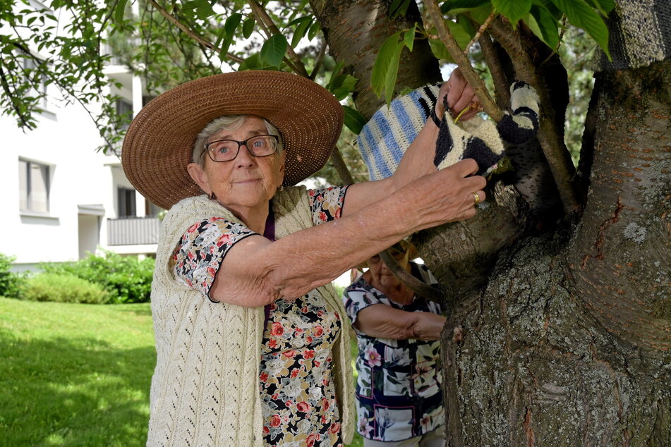 Seniorin Inge Baum nimmt an der Buche Maß.