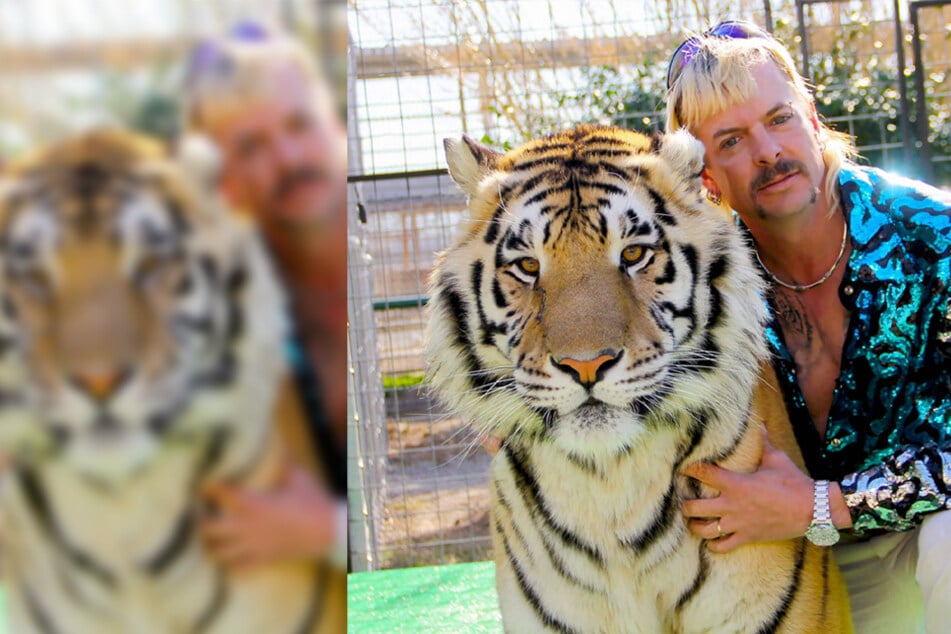 Joe Exotic, or Joseph Allen Maldonado-Passage, poses with a tiger on a promotional photoshoot for Tiger King on January 1, 2020.