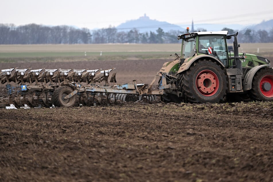 Thüringens Landwirte prangern die hohe Bürokratie an. (Archivbild)