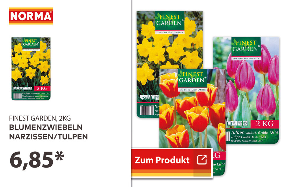 Blumenzwiebeln Narzissen/Tulpen, 2Kg für 6,85 Euro.