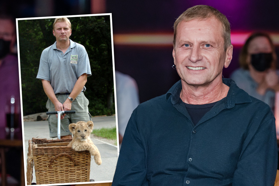 Aus für Löwen-Papa: Deshalb stellte der Leipziger Zoo seinen TV-Liebling Jörg Gräser kalt