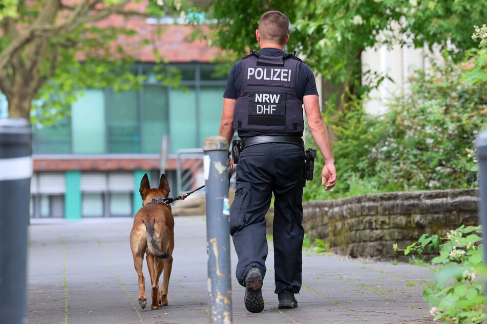 Auch ein Polizeihund war im Einsatz.