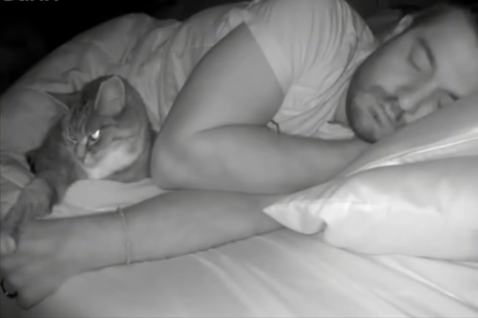 Minnie loves to cuddle with her owner, as the viral TikTok proves!