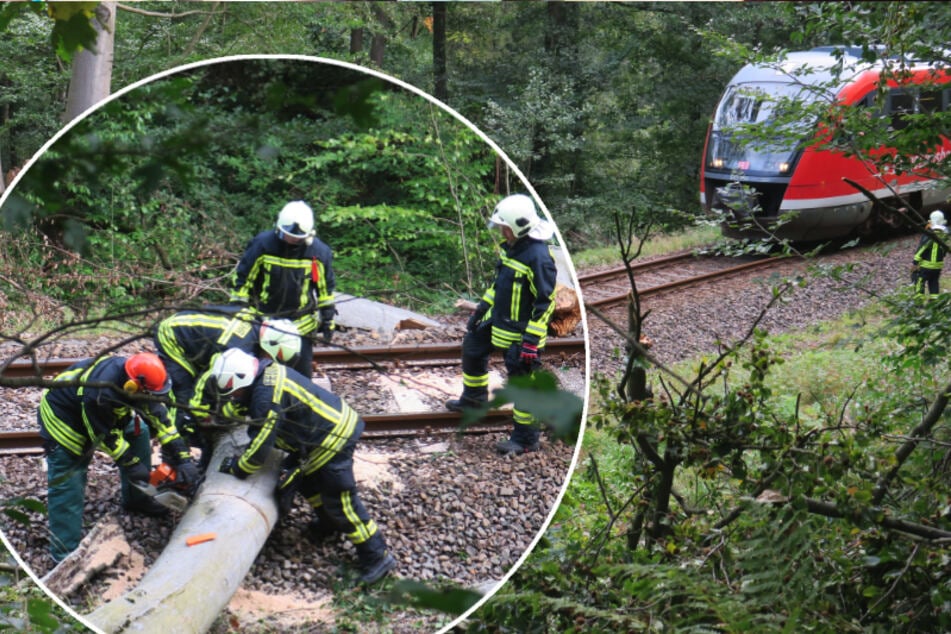 Bahnverkehr stand still: Baum auf Gleis gefallen