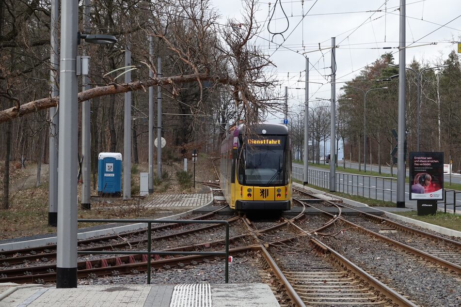 Der Wind blies am Samstag so stark, dass er sogar einen Baum zum Umstürzen brachte.