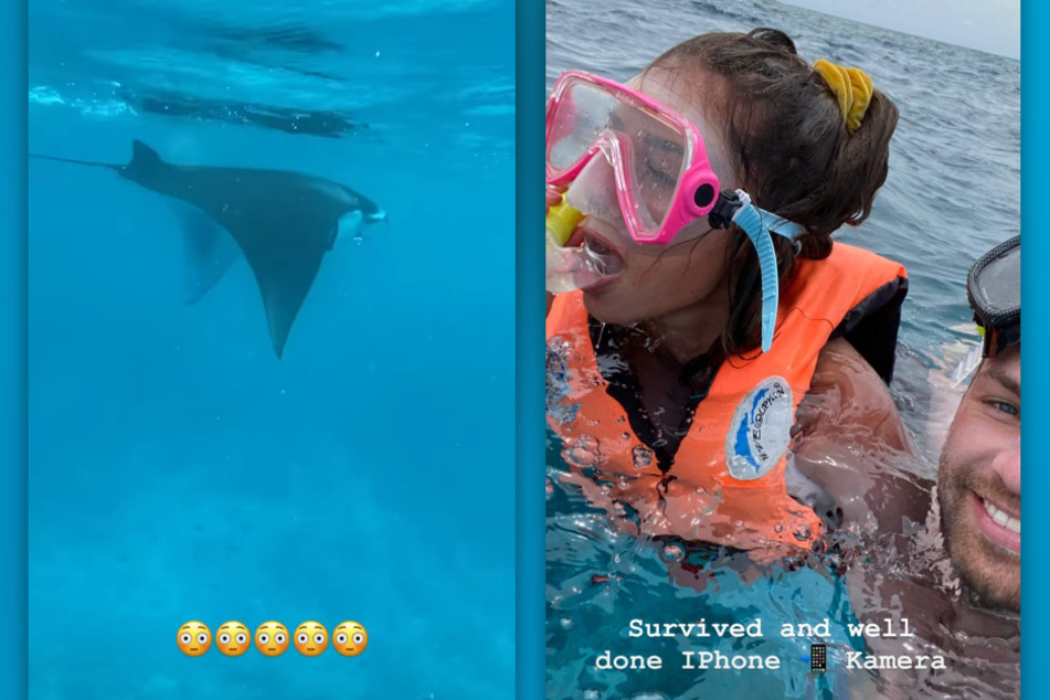 Unter Wasser treffen Sarah Lombardi (27) und Julian Büscher (27) auf ein beeindruckendes Lebewesen. (Fotomontage)