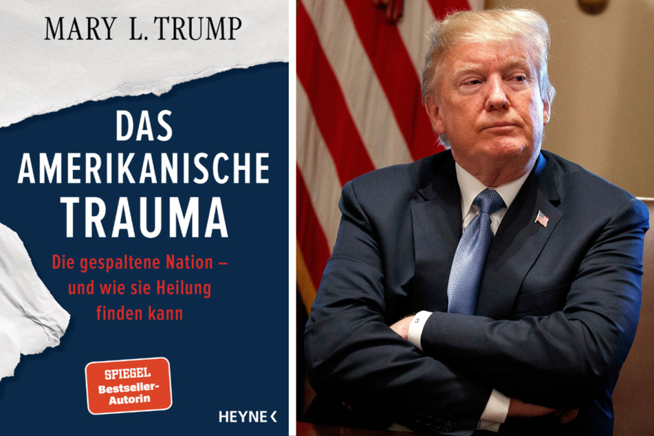 Trump-Nichte und Autorin: Donald gehört vor Gericht und verurteilt
