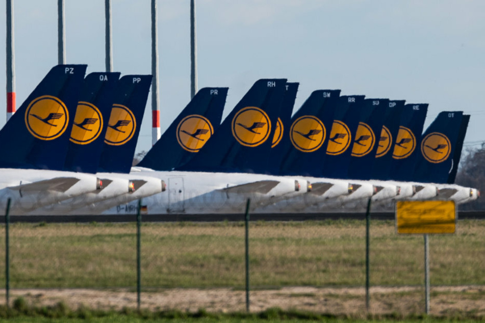 Berlin: Lufthansa-Maschinen sind auf dem Vorfeld des Flughafen Berlin Schönefeld geparkt.