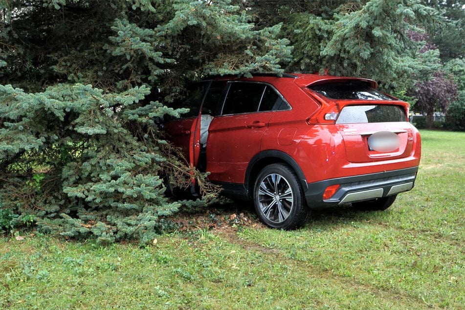 Der Mitsubishi landete infolge des Unfalls an einem Baum.