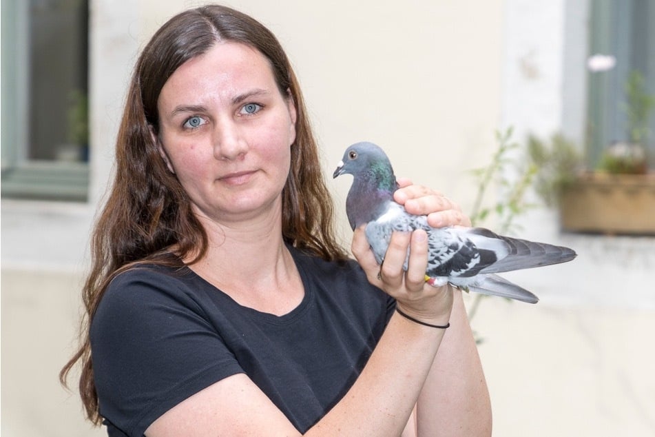 Vorstandsmitglied der Stadttauben-Initiative Marta Broll (43) päppelte verletzte Brieftauben wieder auf.