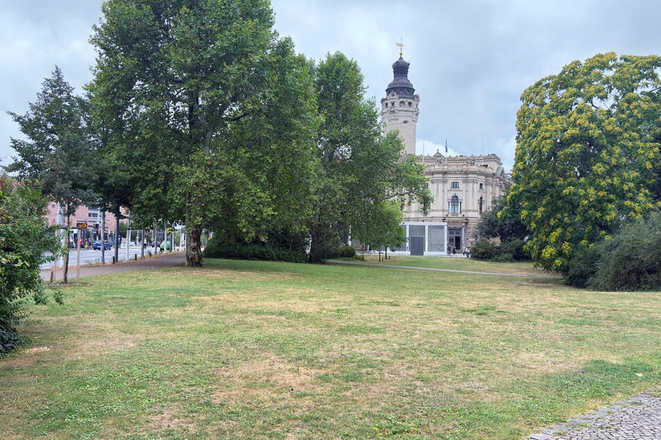 Der Park am Wilhelm-Leuschner-Platz: In diesem Bereich trafen die beiden Geschädigten erstmals auf die Gruppe Jugendlicher.