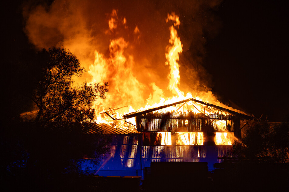 Die Flammen schlugen meterhoch aus dem Sägewerk in den Nachthimmel.