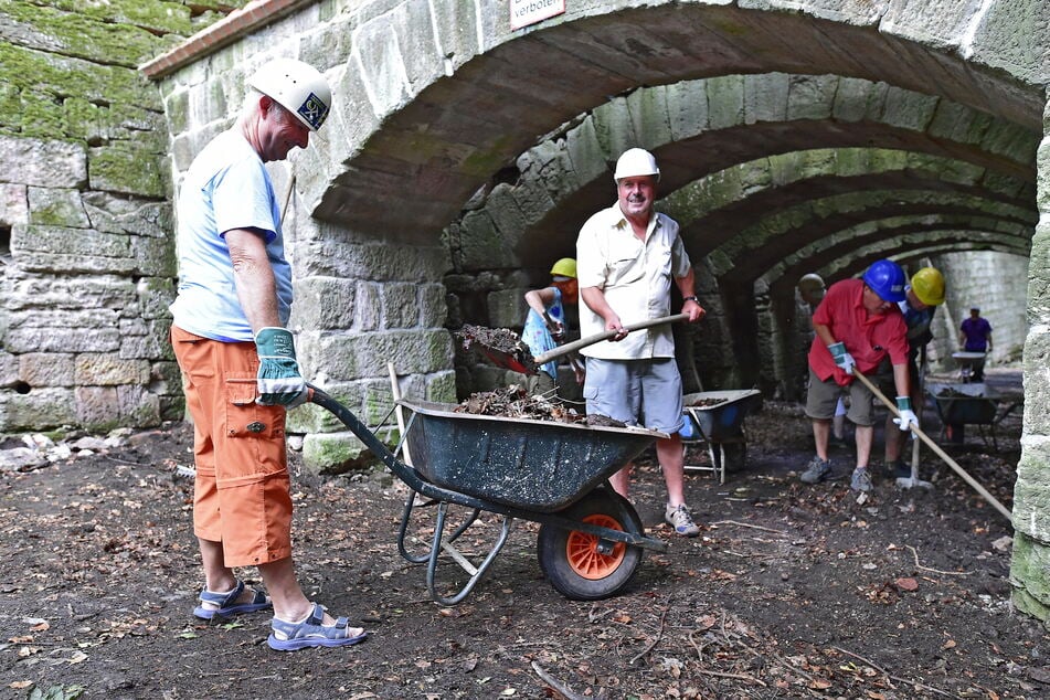 Der Freundeskreis des Museums für Naturkunde traf sich 2015 zu Arbeitseinsätzen, um die gemauerten Bögen auszubessern.