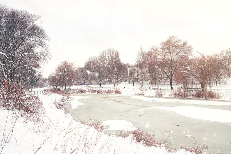 Die Eisfläche des Teiches war nur leicht angefroren - selbst ein Kleinkind wäre sofort eingebrochen. (Symbolfoto)
