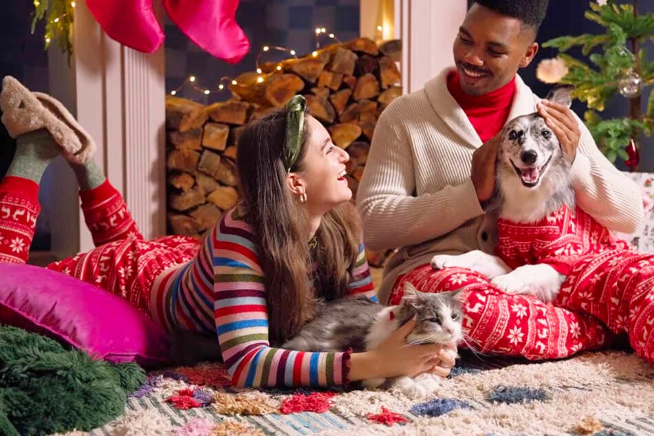 Have a paw-some Holiday Season with these festive Chewy savings