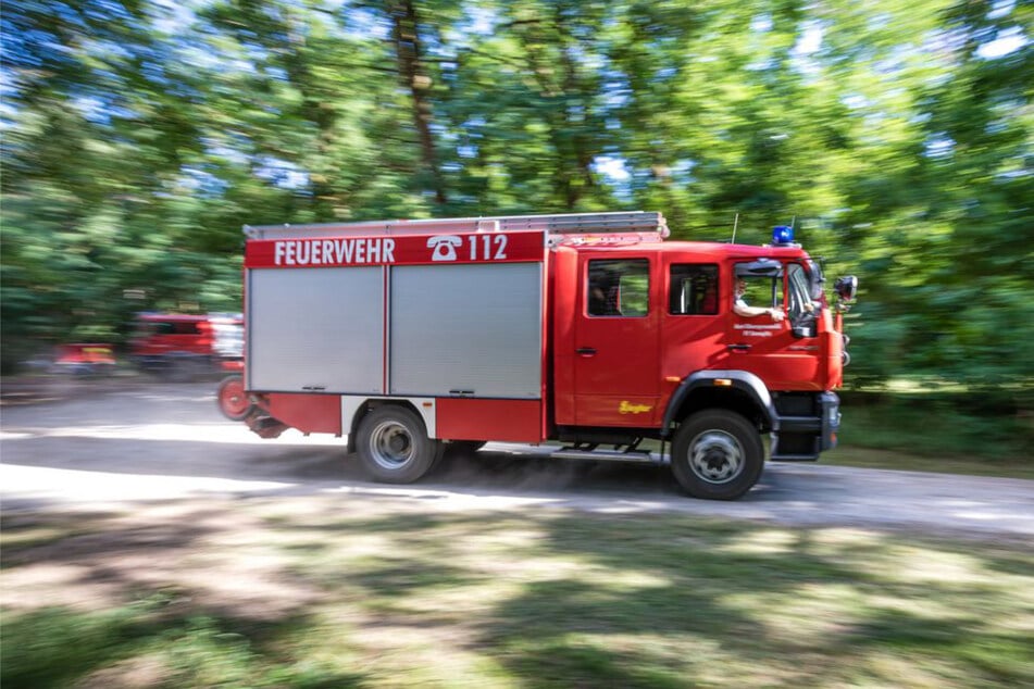 Mit einfachen Regeln kann einem Waldbrand und somit auch einem Feuerwehreinsatz vorgebeugt werden. (Symbolfoto)
