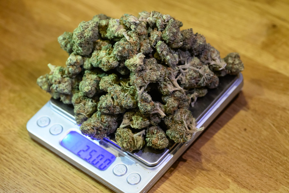 Fortan erlaubt: So ein Berg Cannabisblüten sind die 25 Gramm, die man ab Montag straffrei bei sich haben darf.