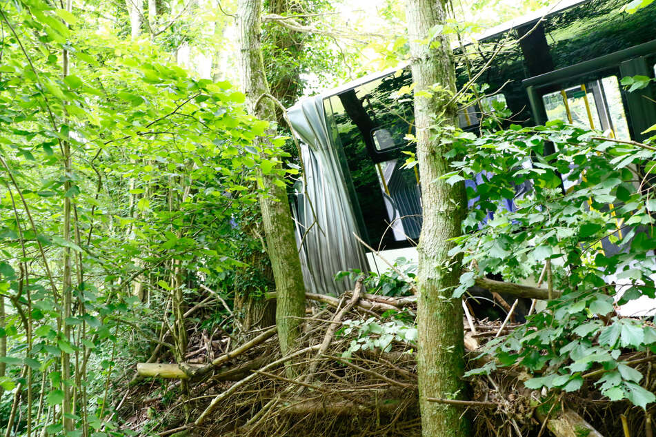 Wilder Ausflug: Mitten in der Natur kam der verunfallte Linienbus zum Stillstand.