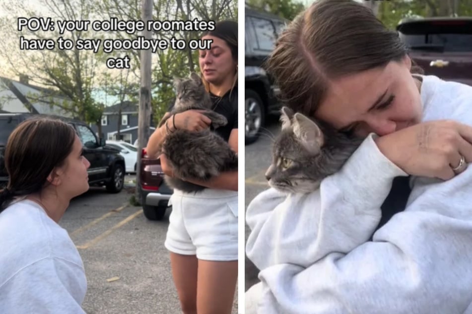 Als sich diese Mädels-WG von ihrer Katze verabschiedet, fließen Tränen