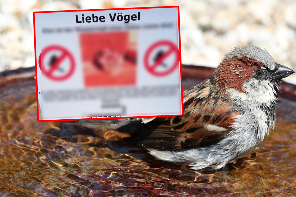 Berlin: Vogel-Flüsterer schreitet in Berlin zur Tat: Gefahr erkannt, Gefahr gebannt?