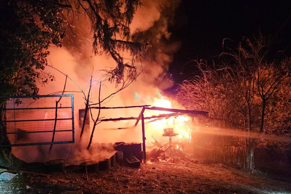 Bei Eintreffen der Feuerwehr stand der Schuppen bereits in Vollbrand.