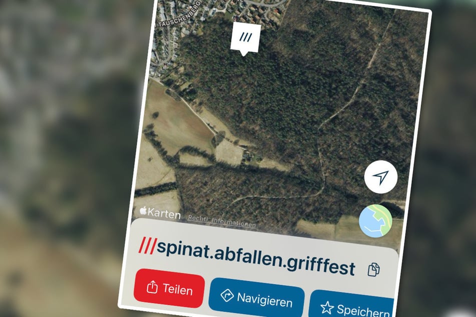 Spinat - abfallen - grifffest: Dank der genauen "what3words"-Koordinaten gelangten die Einsatzkräfte zur verletzten 87-Jährigen. (Symbolfoto)